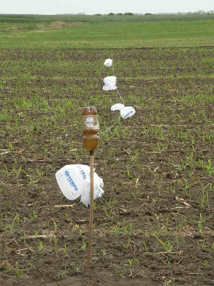 Strašilo od štapa, kanapa ...