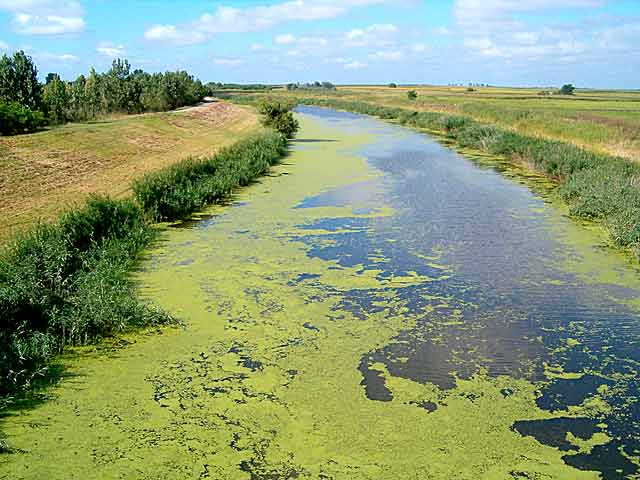 Sas bašajickog mosta I
