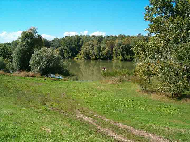 Bivša NM plaža naTisu ...