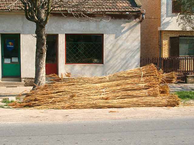 Ništa brez trske...