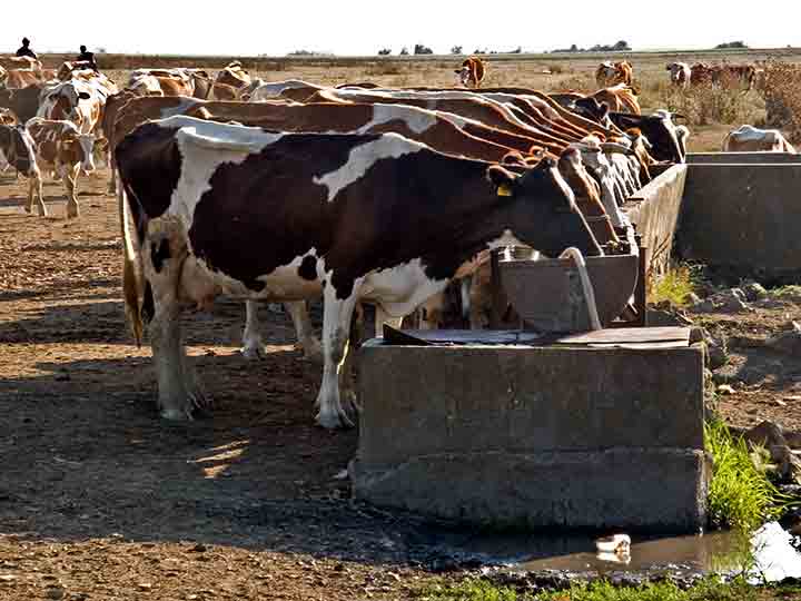 Osveženje na Umčićki bunar ...