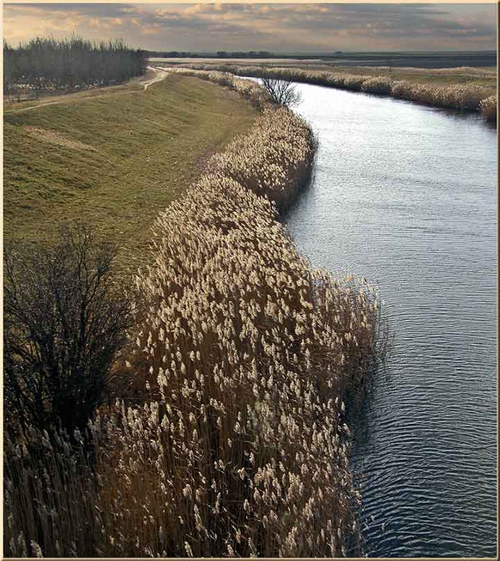 Neki put veter uAtar, baš brije ...