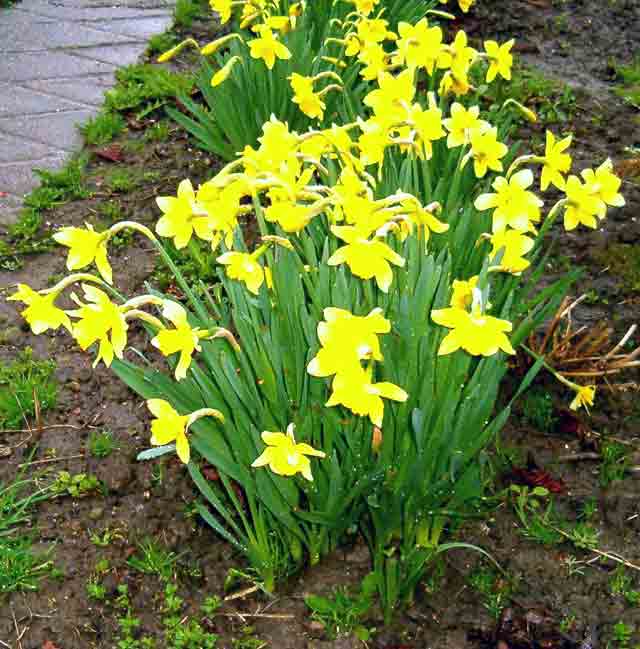 Visibabe 04.04.2006-te...