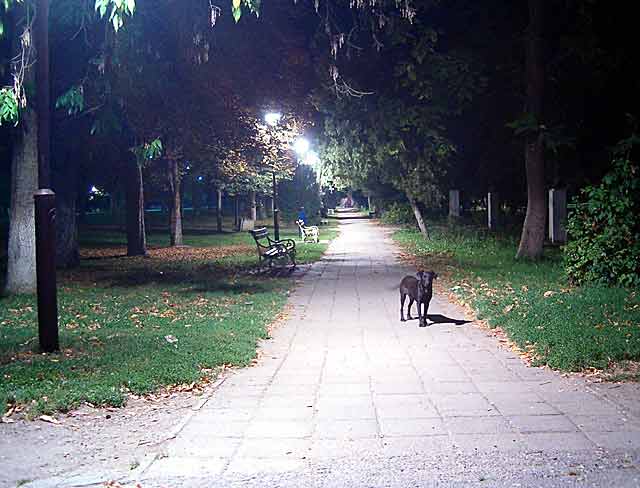 Kad i on vole da se slika...