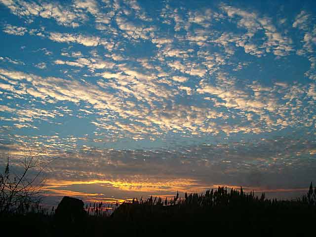 Zalasci Cunca u NM...