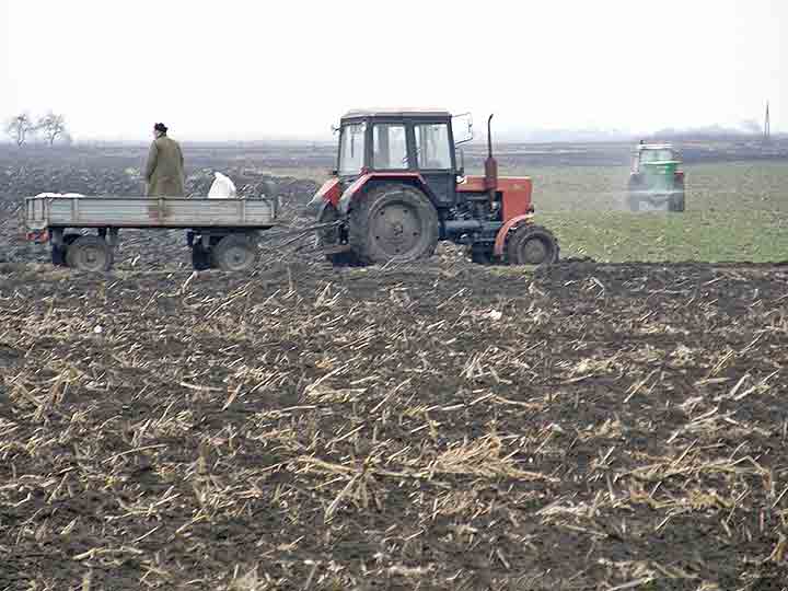 Prvo, vetako ubre, a kodNs u Miloevo ?!?