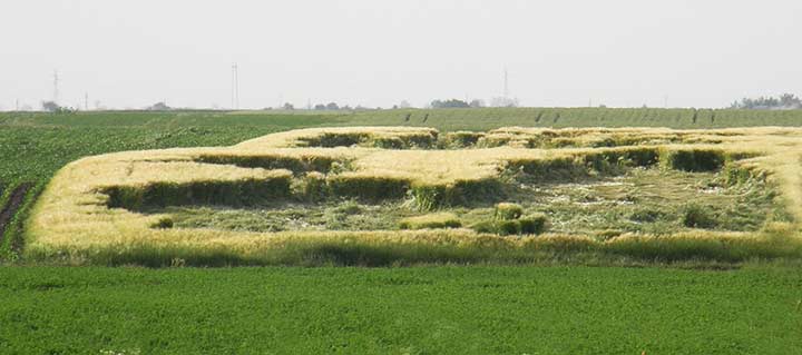 Vanzemaljci crtadu poŽitu ...