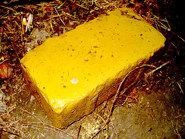 Žuta ciglja terezijanska...