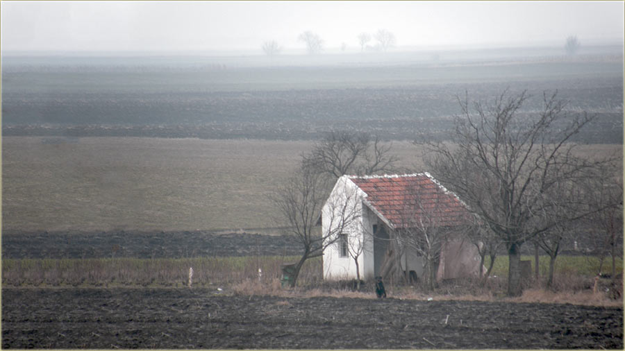 ZaZimljena, vinogradarska kućica...